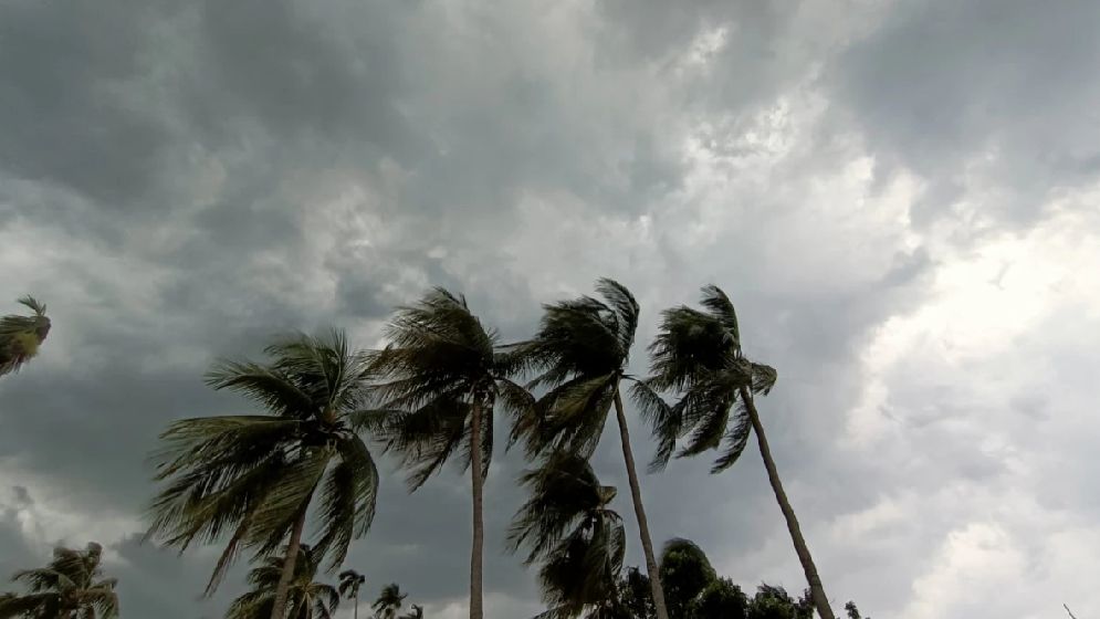 দেশের ১১ অঞ্চলে ঝড়ের পূর্বাভাস, নদীবন্দরে সংকেত