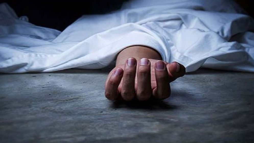 ভাইকে দেখতে গিয়ে প্রাণ গেল বোনের