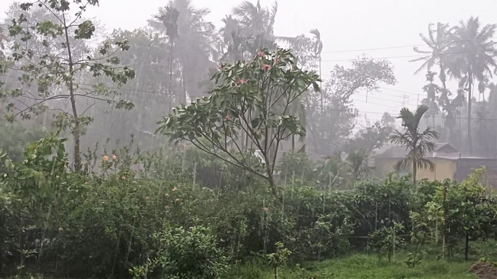 দুপুরের মধ্যে ৯ জেলায় ঝড়-বৃষ্টির সতর্কতা