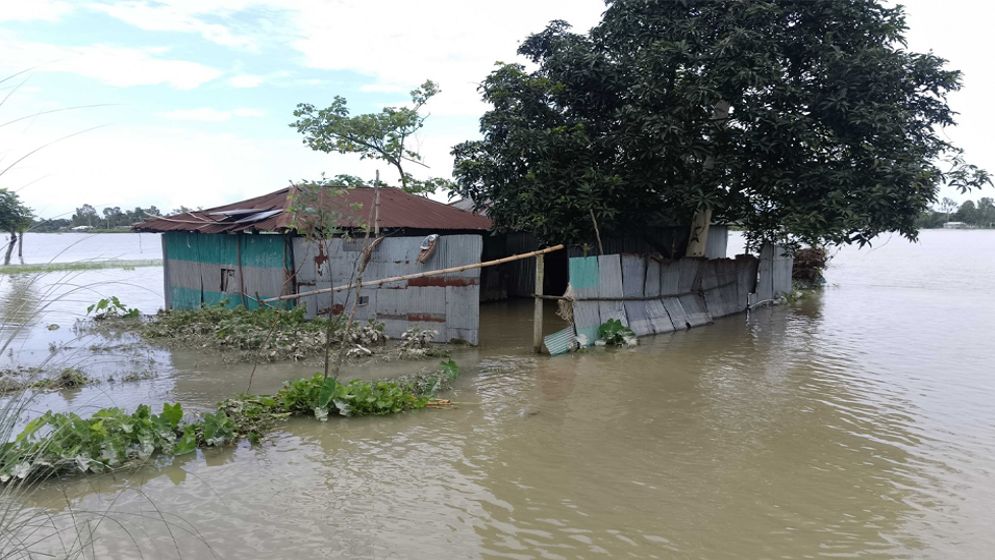 তিস্তার পানি বৃদ্ধি, দুর্ভোগে ৮ হাজার পরিবার