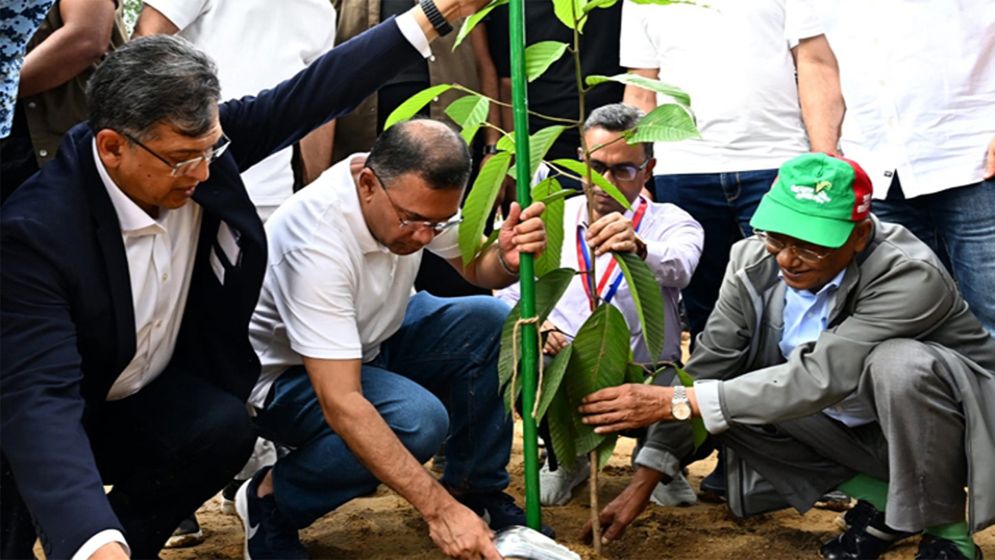 দেশজুড়ে শিক্ষাপ্রতিষ্ঠানে বৃক্ষরোপণ কর্মসূচির উদ্বোধন আজ