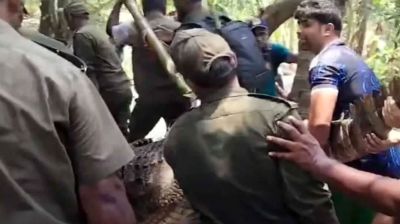 সরানো হলো খানজাহান আলী মাজারের সেই কুমির  
