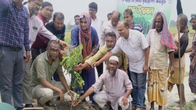 রাজারহাটে বৃক্ষরোপণ করলেন ইউএনও