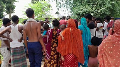 বকশীগঞ্জে বন্য হাতির আক্রমণে একজনের মৃত্যু