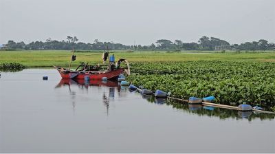 ড্রেজারের দাপটে কমছে তিন ফসলি জমি, কাটছে দরদরিয়া খাল