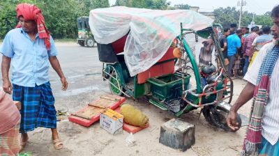 সড়কে ঝরল দুই ভাইয়ের প্রাণ
