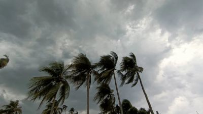 দেশের ১১ অঞ্চলে ঝড়ের পূর্বাভাস, নদীবন্দরে সংকেত