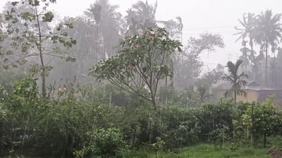 দুপুরের মধ্যে ৯ জেলায় ঝড়-বৃষ্টির সতর্কতা
