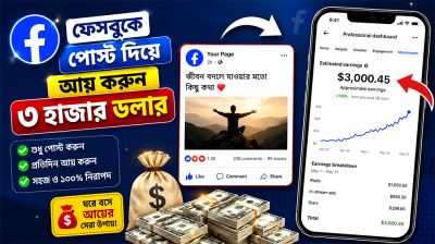 ফেসবুকে পোস্ট দিয়ে আয় করুন ৩ হাজার ডলার!