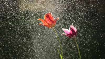 বৃষ্টির সম্ভাবনা বাড়লেও কমছে না গরম