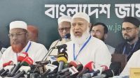 ‘ক্ষমতার জন্য ভোট মেনে নিলেও সংস্কারের প্রশ্নে গণভোট মানেনি সরকার’