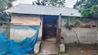 এক রাতে তিন কৃষকের সাত গরু চুরি, আতঙ্কে খামারিরা