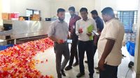 অনুমোদনহীন খাদ্য উৎপাদন, দুই প্রতিষ্ঠানের বিরুদ্ধে ব্যবস্থা