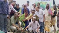 রাজারহাটে বৃক্ষরোপণ করলেন ইউএনও