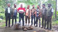 পাচারকালে হনুমান ও ১২ কচ্ছপ উদ্ধার, একজন আটক