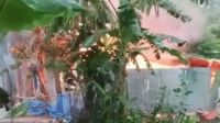 ধষর্ণ-হত্যার জেরে আসামিদের বাড়িতে আগুন, দগ্ধ হয়ে ৩ জনের মৃত্যু