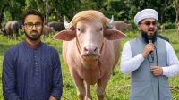 রাশেদ খাঁনকে মহিষ ‘ট্রাম্পের’ পাশে রাখা হোক