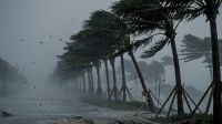 রাজধানীসহ ২০ অঞ্চলে বজ্রসহ বৃষ্টির আভাস