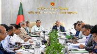 ডেঙ্গু প্রতিরোধে বিশেষ টাস্কফোর্স গঠনের সিদ্ধান্ত
