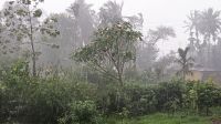 দুপুরের মধ্যে ৯ জেলায় ঝড়-বৃষ্টির সতর্কতা