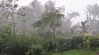 ১২ অঞ্চলে ঝড়-বৃষ্টির আভাস, কমতে পারে গরম