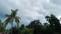 সন্ধ্যার মধ্যে দেশের ৮ অঞ্চলে ঝড়ের আভাস