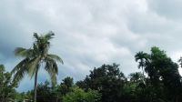 দুপুরের মধ্যে দেশের ১৩ জেলায় বজ্রবৃষ্টির সতর্কতা