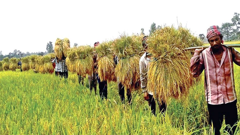 উত্তরাঞ্চল: কৃষির উন্নয়নে ৩ হাজার কোটি টাকার তহবিল গঠন 