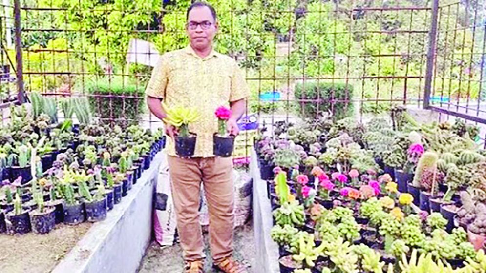 রং-বেরঙের ক্যাকটাসের বিচিত্র সমাহার