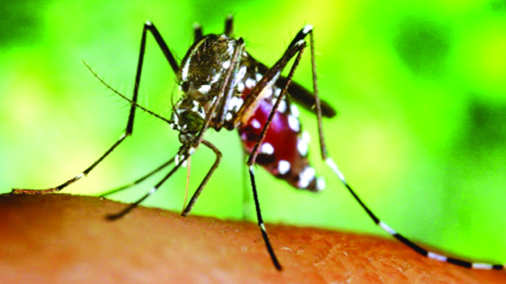 আক্রান্ত-মৃত্যু বেশি কর্মক্ষমদের