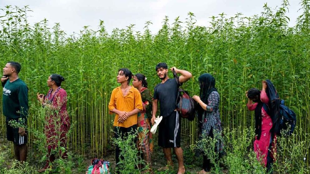 সীমান্তে ৮ জনকে পুশইন, বিজিবির প্রতিরোধ