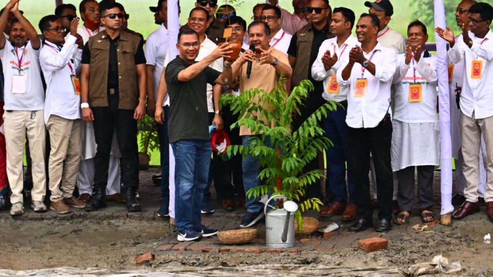 ‘আগামী পাঁচ বছরে ২৫ কোটি গাছের চারা রোপণ করবো’