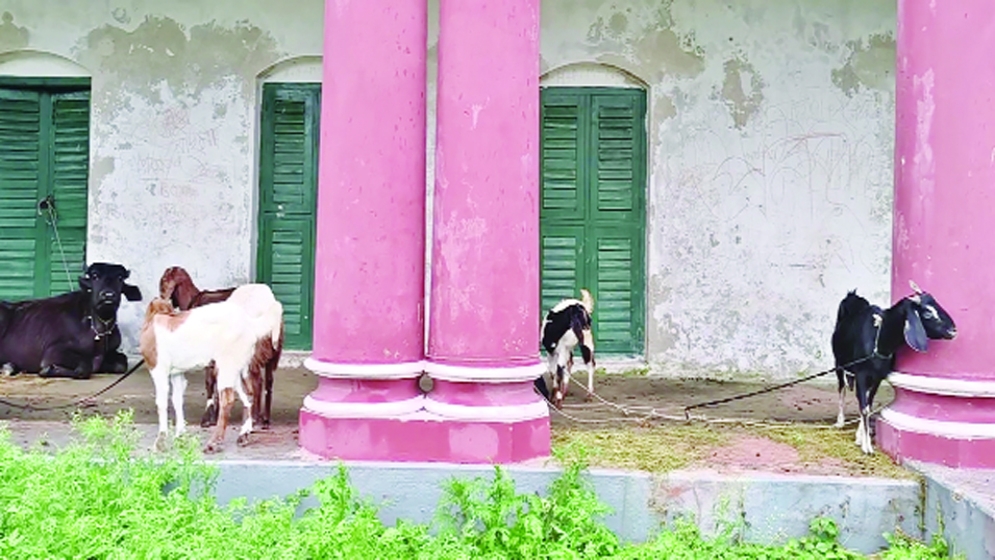 বিশ্বকবির কাচারিবাড়ি যেন গোশালা