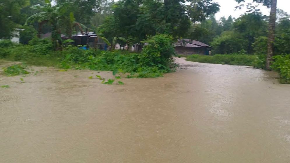 মীরসরাইয়ে ভারী বর্ষণে নিম্নাঞ্চল প্লাবিত, দুর্ভোগে বাসিন্দারা