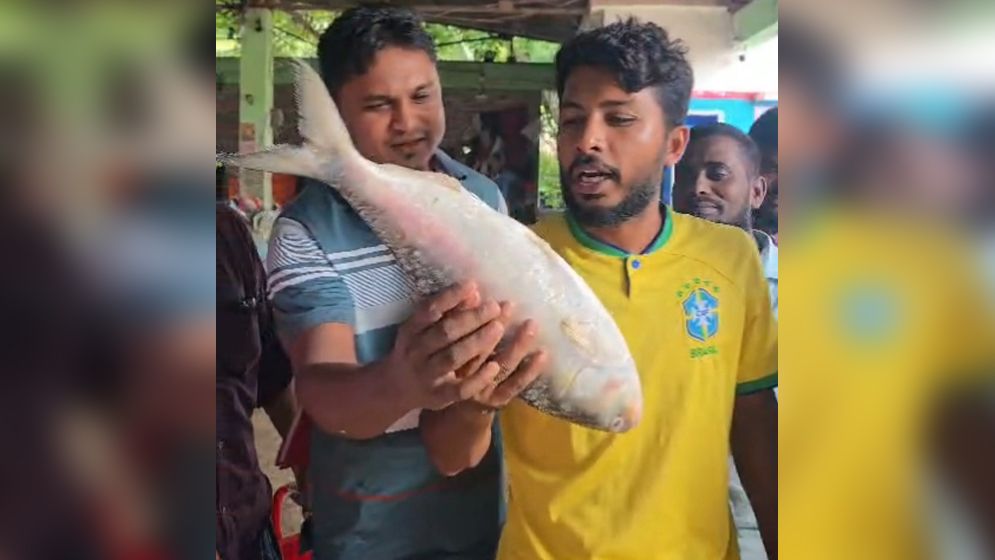 কুয়াকাটায় এক ইলিশ ৭ হাজার টাকায় বিক্রি