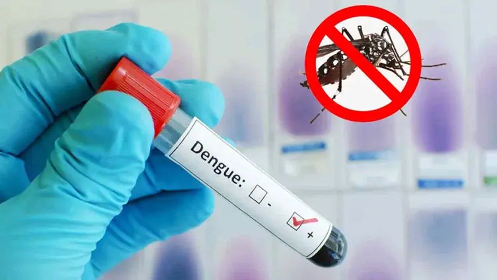 ডেঙ্গুতে ৩ জনের মৃত্যু, হাসপাতালে ভর্তি ৩৭২