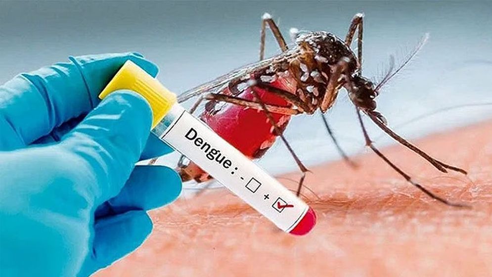 জুলাইয়ে ডেঙ্গুতে ৩৬ জনের মৃত্যু, আক্রান্ত ৯ হাজার ২০৬