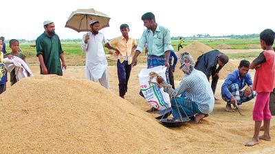 বোরো সংগ্রহে ১ কোটি ৬০ লাখ পাটের বস্তা কিনবে সরকার