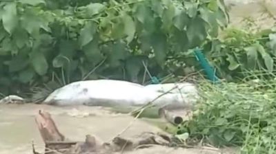 বন্যার স্রোতে কবরস্থান থেকে ভেসে উঠলো তিন মরদেহ