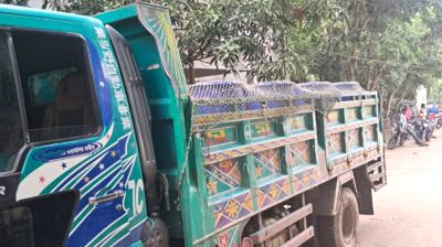 অস্ত্র ঠেকিয়ে অর্ধকোটি টাকার মাছবোঝাই ট্রাক ছিনতাই