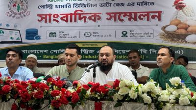 প্রতি ডিমে ৪ টাকা লোকসান প্রান্তিক খামারিদের, মাসে ৫০০ কোটি