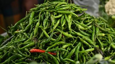 কাঁচামরিচের কেজি ৩০০ ছাড়াল