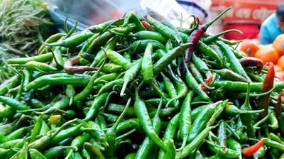 কাঁচাবাজারে আগুন, কাঁচা মরিচ ৩০০ ছুঁই ছুঁই