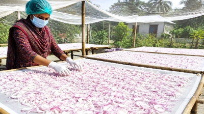 পেঁয়াজের প্রক্রিয়াজাতকরণ