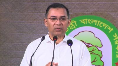 এ নিয়ে আমাদের সিরিয়াসলি চিন্তা করতে হবে: তারেক রহমান