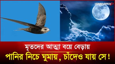 মৃতদের আত্মা বয়ে বেড়ায়, পানির নিচে ঘুমায়, চাঁদেও যায় সে!