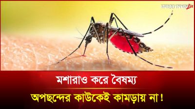 মশারাও করে বৈষম্য, অপছন্দের কাউকেই কামড়ায় না! 
