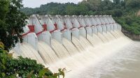 খুলে দেওয়া হলো কাপ্তাই বাঁধের ১৬ জলকপাট