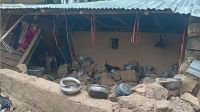 লোহাগাড়ায় বন্য হাতির তাণ্ডব, বিধ্বস্ত বসতঘর