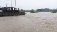 পাহাড়ি ঢল ও টানা বর্ষণে প্লাবিত চকরিয়া-মাতামুহুরী, পানিবন্দি লাখো মানুষ